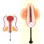 7 Sizes Silicone Urethral Plug Horse Eye Stick Urethral Dilator Pull Beads Penis Catheter Male Masturbation Stimulator Sex Toys - Image 2