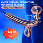 8 PCS Silicone Urethra Sound Beads（long12.9in） - Image 2